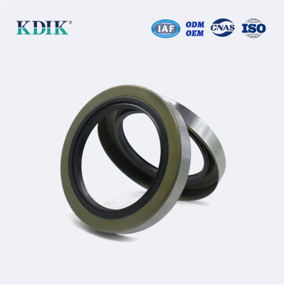 High Quality TB 65*92*13 Oil Seal Standard Shaft Oil Seal Auto Oil Seal