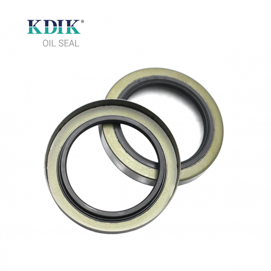 High Quality TB 65*92*13 Oil Seal Standard Shaft Oil Seal Auto Oil Seal