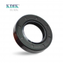 TC 29*50*10mm Nitrile Oil Seal NOK Standard Shaft Seal With Garter Spring