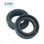 TC 20*32*8 NBR Rotary Shaft Oil Seal Covered Double Lip with Spring