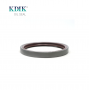 TB Oil Seal 146*170*18 HINO H3034 H3035 982801130 9828-01130 2301-6877