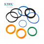 991-20021 Hydraulic Cylinder Excavator Repair Kit JCB Seal Kit