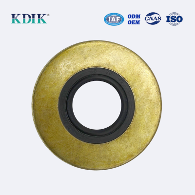 Standard Metal Rotary Shaft TB 30*72*10 Oil Seal Heavy Machinery Pump