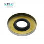Standard Metal Rotary Shaft TB 30*72*10 Oil Seal Heavy Machinery Pump