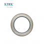 High Quality TA Rear Wheel Hub Oil Seal 125*175*13 Truck Part China Factory