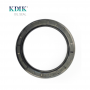 Factory Direct TC 95*125*13 NBR Rotary Shaft Oil Seal Skeleton Oil Seal