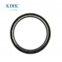 Factory Direct TC 100*120*13/18 NBR Rear Crankshaft Oil Seal Skeleton Oil Seal