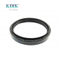 Factory Direct TC 100*120*13/18 NBR Rear Crankshaft Oil Seal Skeleton Oil Seal