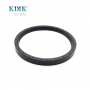 TC 116*132*12 NBR Rotary Shaft Oil Seal Covered Double Lip with Spring
