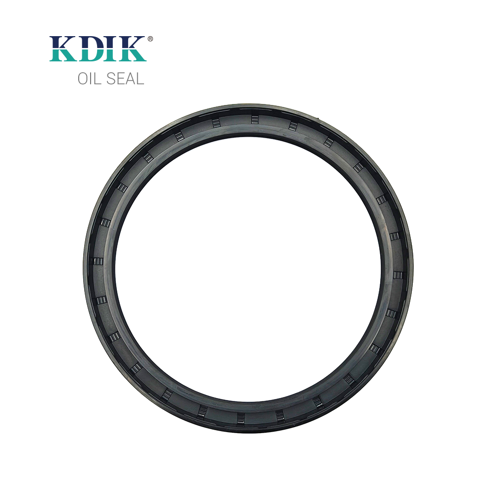 TC 125*150*12 NBR Rotary Shaft Oil Seal Covered Double Lip with Spring