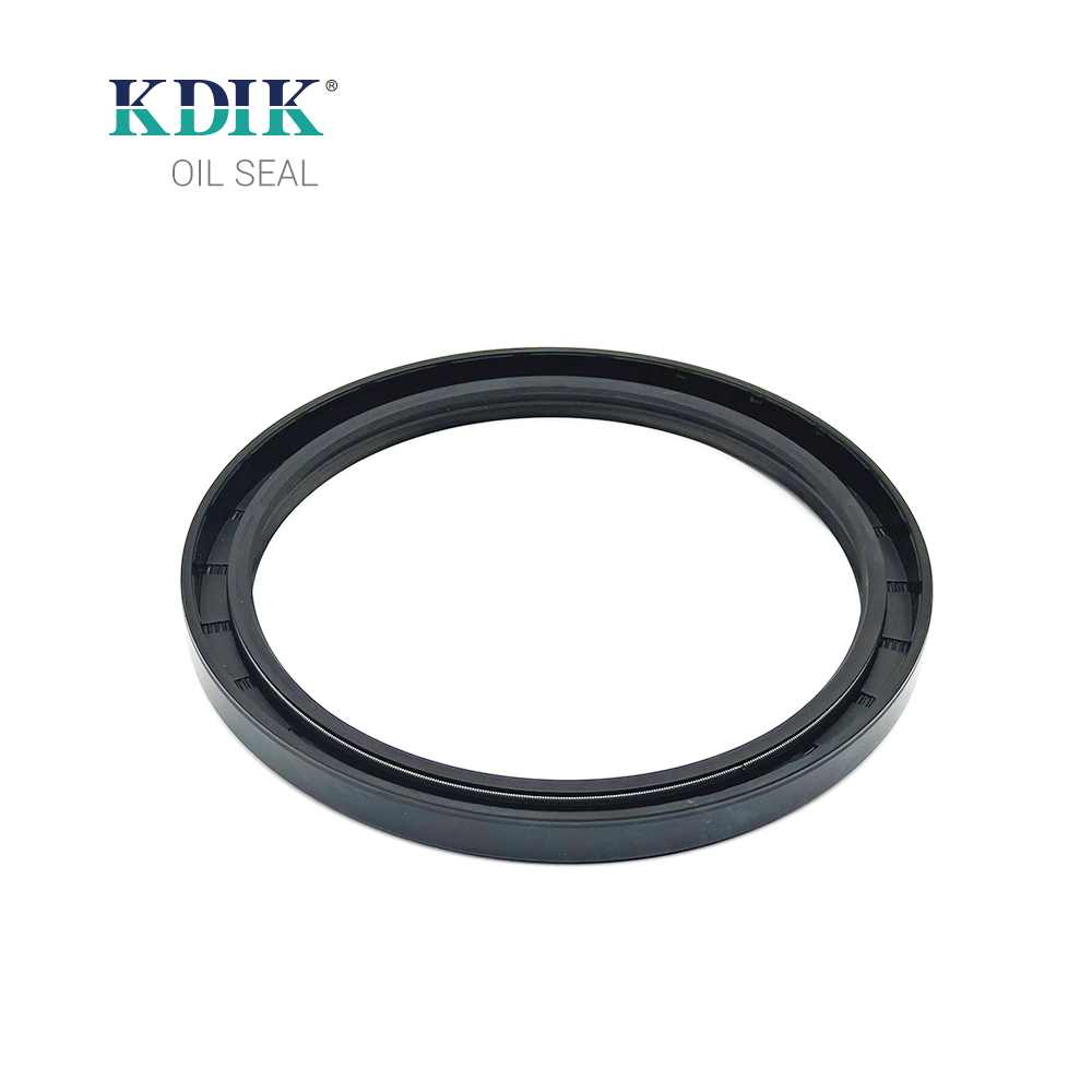 TC 125*150*12 NBR Rotary Shaft Oil Seal Covered Double Lip with Spring