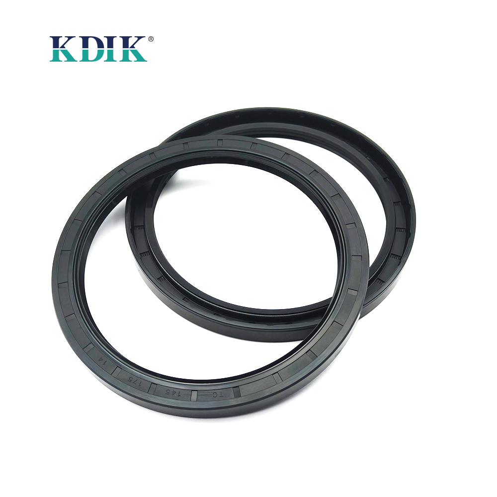 TC 145*175*14 NBR Rotary Shaft Oil Seal Covered Double Lip with Spring