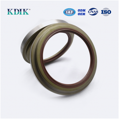 111*138/150*16/25 High Quality TAY Type Oil Seal Auto Parts