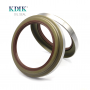 111*138/150*16/25 High Quality TAY Type Oil Seal Auto Parts
