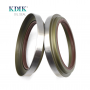 111*138/150*16/25 High Quality TAY Type Oil Seal Auto Parts
