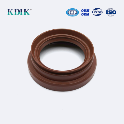 62*93*13/30 2402D5-060 Oil Seal 8452012-080 Auto Truck Spare Parts