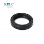 TC 27*38*7 NBR Rotary Shaft Double Lip Oil Seal Auto Parts