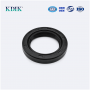 TC 30*44*7 NBR FKM Rotary Shaft Oil Seal Double Lip Auto Parts