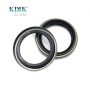 TBY 50*67*9/12.5 Wheel Hub Oil Seal Auto Parts High Quality Factory