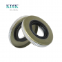 TB 25*52*7 Oil Seal Rubber Double Lip Gasket Iron Shell Radial Shaft Skeleton Oil Seal