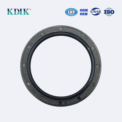 TC Oil seal Rubber Double lip seal ring