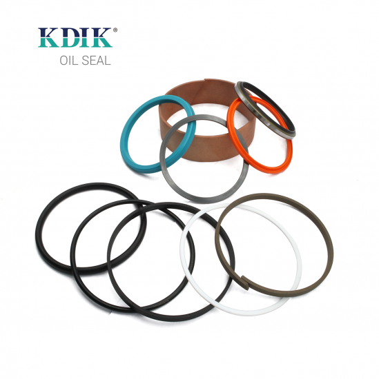 Hydraulic Cylinder Seal Kit 250-2485 for Caterpillar CAT Engine 3116 Excavator 320B 322BL