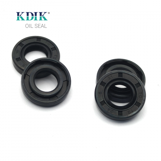 TC 12*24*5 NBR Rubber Oil Seal Double Lip for Automobile