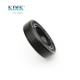 TC Seal Ring 20*35*8 Viton FKM Rubber Double Lip With Spring