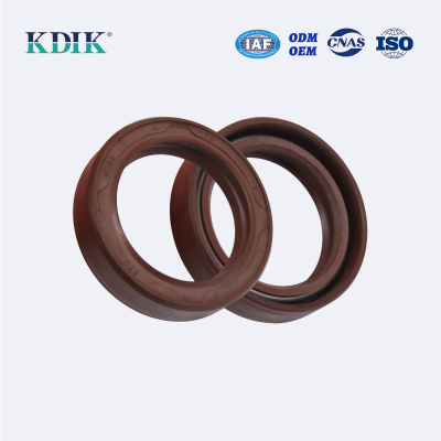 TC Oil seal Rubber Double lip seal ring