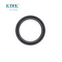 Oil Seal TC 25*31*7MM Nitrile Sealing Lip NBR/FKM For Automotive