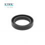 Rotary Shaft Seal AS 35*50*10 FPM TC Type For Automotive