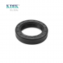 TC 42*62*12 NBR Material Black Shaft Oil Seal Double Lip with Spring Auto Parts