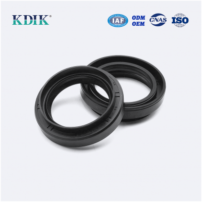 TC Oil seal Rubber Double lip seal ring