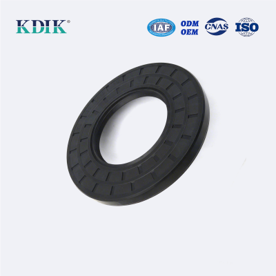 TC 60*110*10 NBR Material Black Shaft Oil Seal Double Lip with Spring Auto Parts