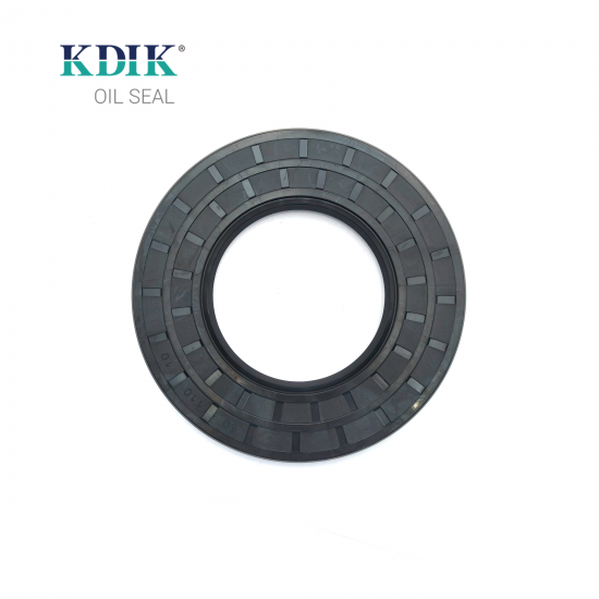 TC 60*110*10 NBR Material Black Shaft Oil Seal Double Lip with Spring Auto Parts
