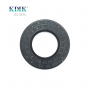 TC 60*110*10 NBR Material Black Shaft Oil Seal Double Lip with Spring Auto Parts