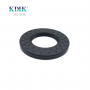TC 60*110*10 NBR Material Black Shaft Oil Seal Double Lip with Spring Auto Parts