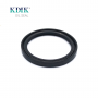 TC 64*80*8 NBR Rotary Shaft Oil Seal Skeleton Oil Seal for Auto Machinery
