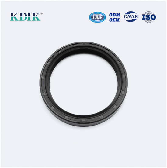 TC 65*80*10 NBR Rotary Shaft Oil Seal Skeleton Oil Seal for Auto Machinery
