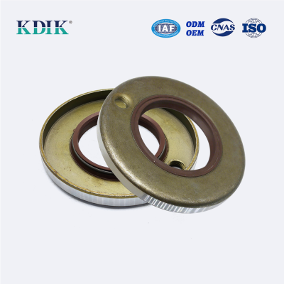 High Quality TB 60*110*12 Oil Seal Rotary Shaft Metal Case KDIK Factory China Manufacturer