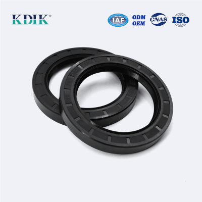 TC 74*102*13 NBR Nitrile Rotary Shaft Oil Seal Skeleton Oil Seal