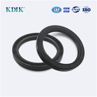 TC 80*102*12 Metric Nitrile Oil Seal Rotary Shaft Oil Seal Auto Parts