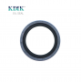 PTFE Lip Oil Seal 60*80*8 With Stainless Steel Housing Single lip and Dual Lip