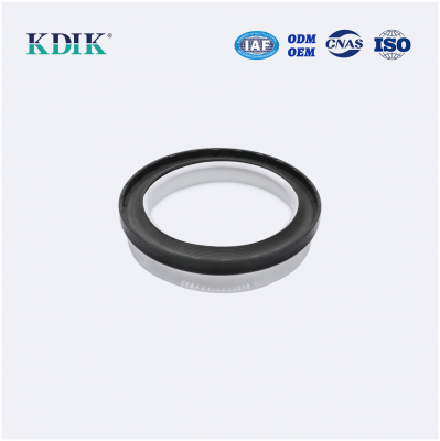 85*105*8.8 Oil Seal 9820978780 Crankshaft Oil Seal Rear TC Skeleton Peugeot
