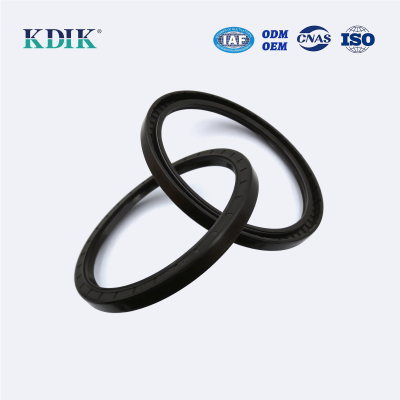 TC OIL SEAL