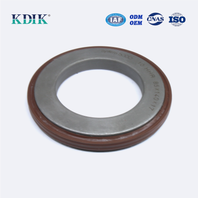 Auto 85*140*17 Oil Seal OE 19034606B IVECO 93160765 Spare Parts