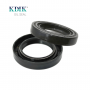 TC Oil Seal OEM AE3072F Size 55*85*14mm NBR Black