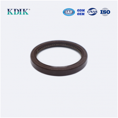 TC OIL SEAL