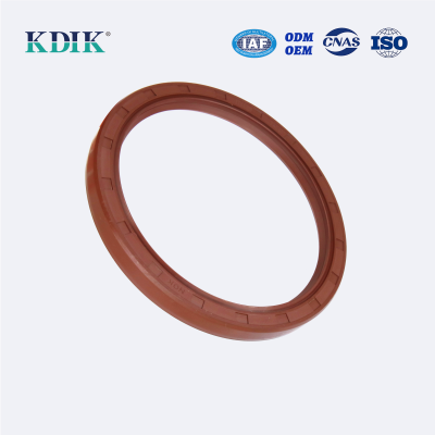 TC 100*120*11 Metric NBR FKM Viton Rotary Shaft Oil Seal Covered Double Lip with Spring