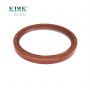 TC 100*120*11 Metric NBR FKM Viton Rotary Shaft Oil Seal Covered Double Lip with Spring